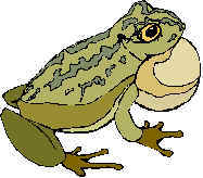 Frog1.jpg (7591 bytes)