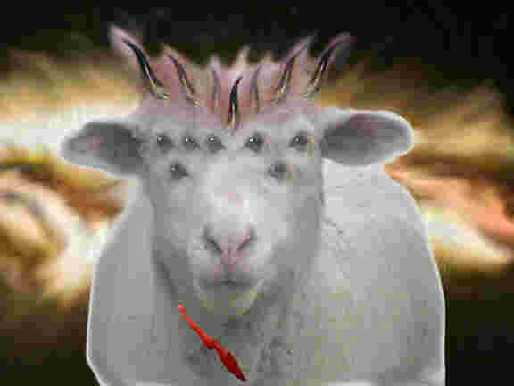 Lamb.jpg (13263 bytes)